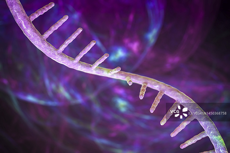 mRNA分子结构示意图图片素材