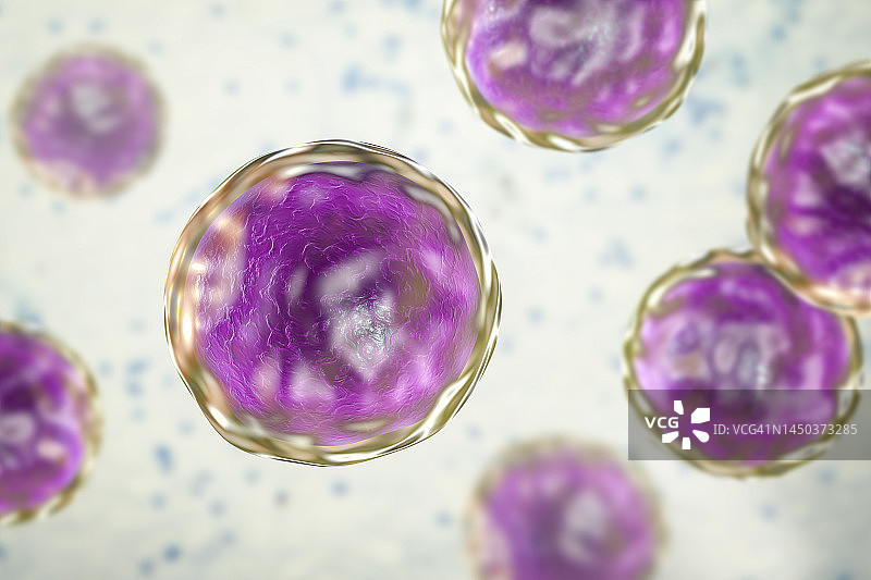 埃蒙斯菌真菌插图图片素材