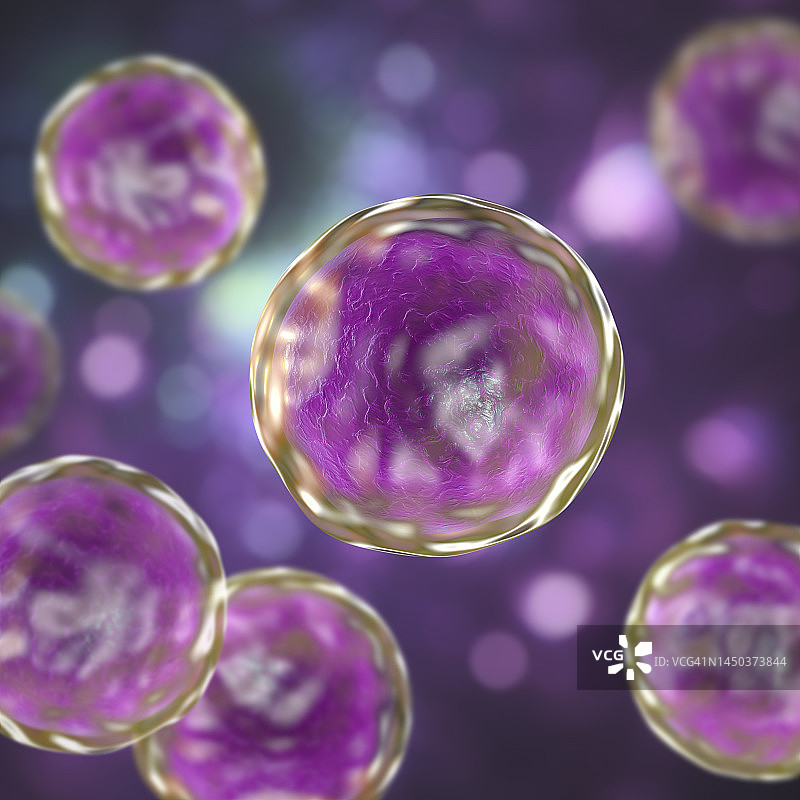 埃蒙斯菌真菌插图图片素材