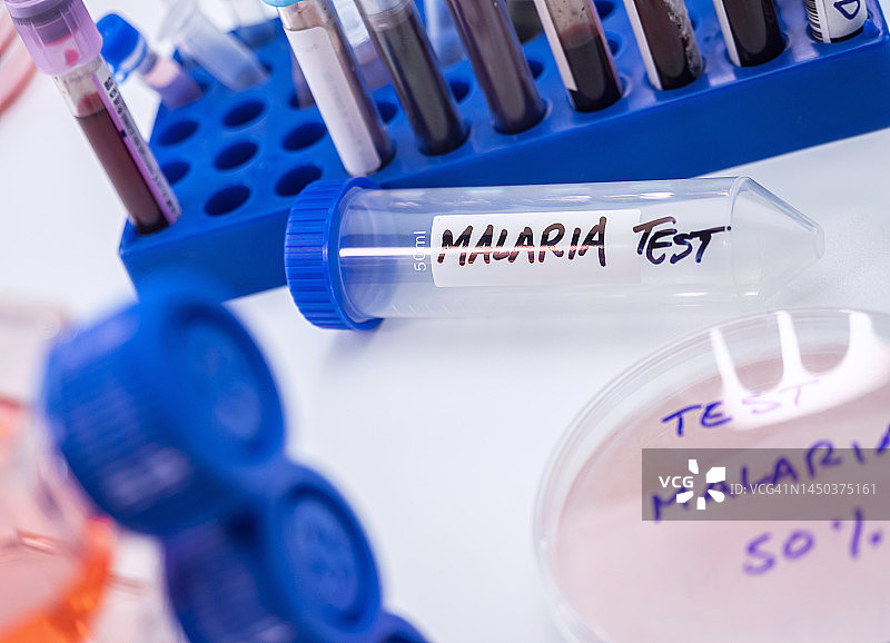 疟疾检测概念图图片素材