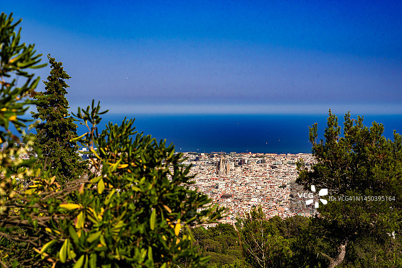 从观景点看到的巴塞罗那城市树木景观图片素材