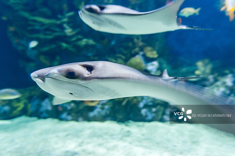 游泳光线图片素材