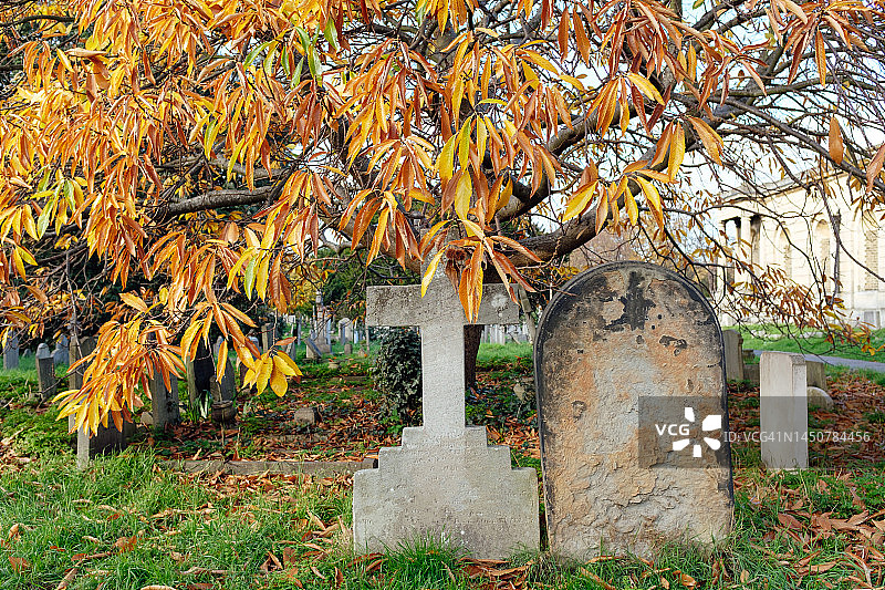 秋季墓地图片素材