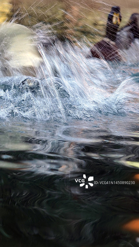 真奇怪图片素材