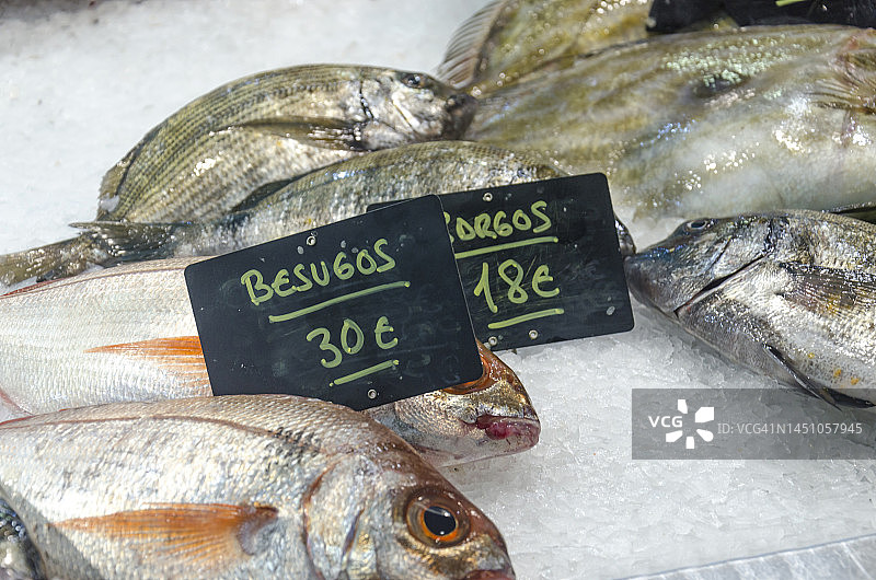 出售的冰鲜红鲷鱼图片素材