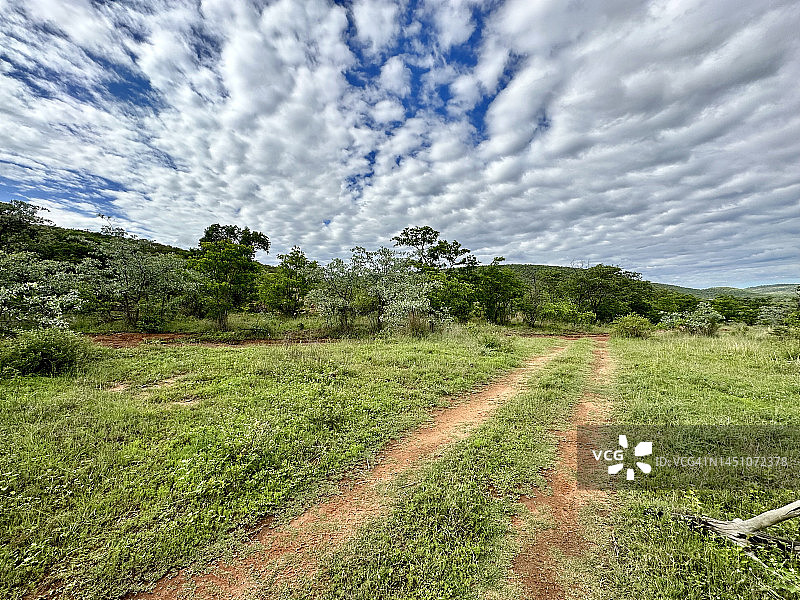 在南非灌木丛中进行野生动物探险图片素材