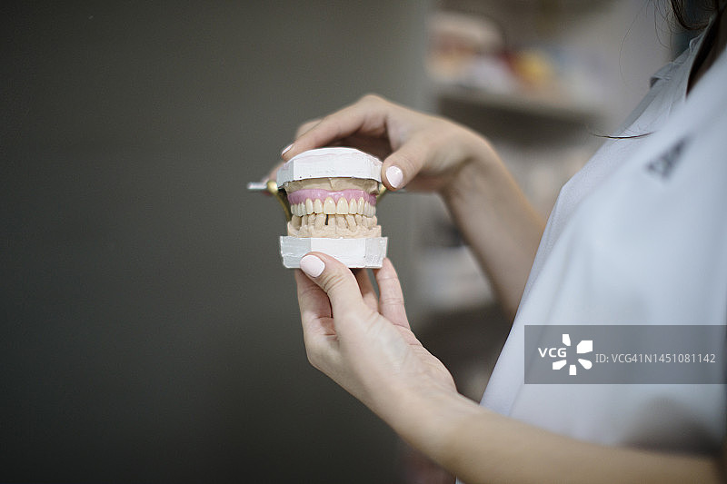 牙医手持牙齿模型图片素材
