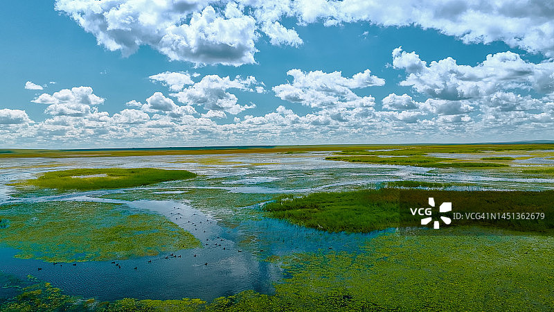 中国内蒙古草原上吃草的牛羊马图片素材