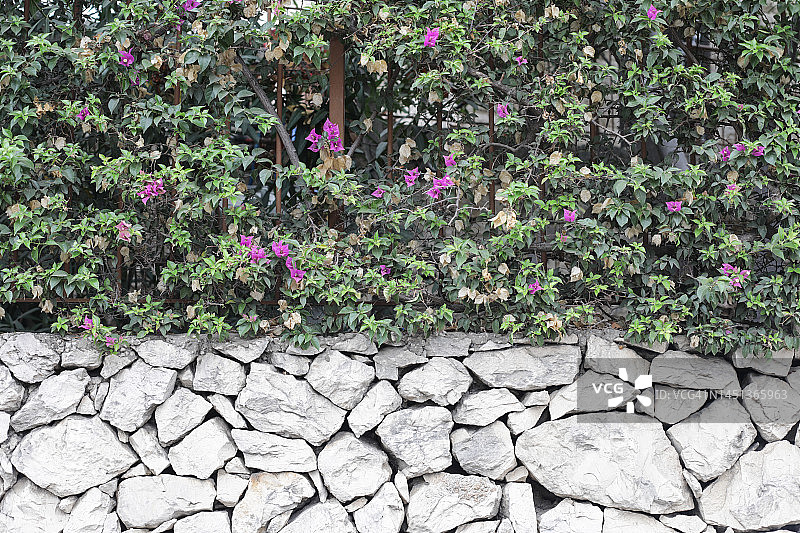 黎巴嫩居住证图片素材