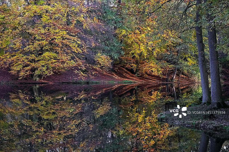 德国北莱茵-威斯特法伦明斯特兰博尔肯洪博恩谷自然保护区池塘图片素材