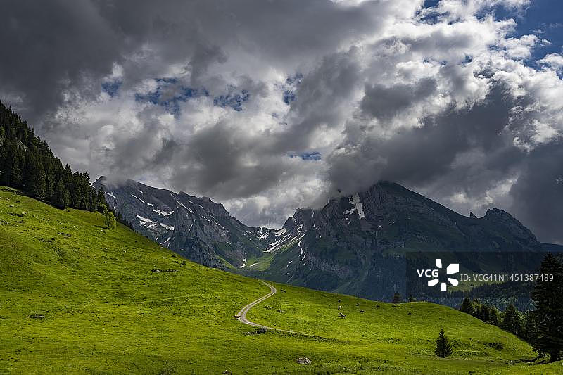 瑞士阿彭策尔州Wildhaus的草甸与阿尔特曼山峰图片素材