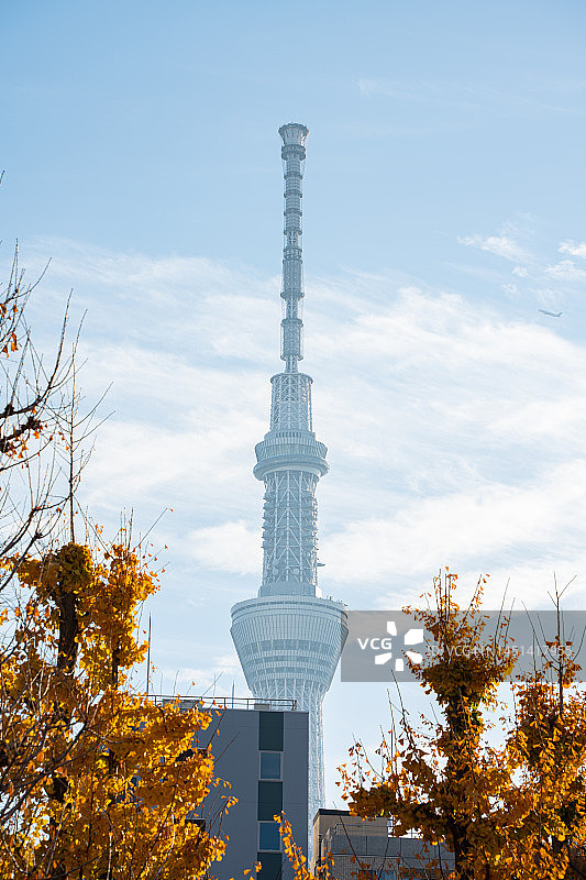 电视塔景观图片素材