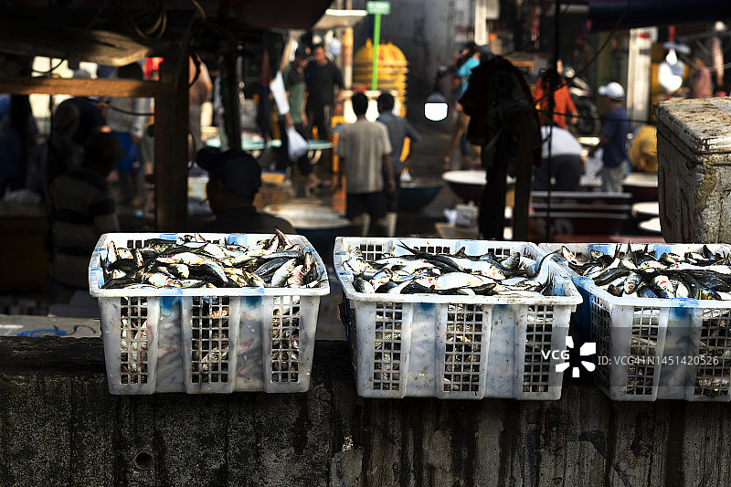 雅加达鱼市图片素材