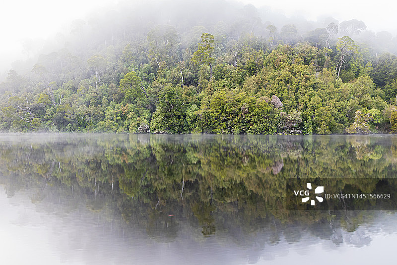黎明时的皮曼河图片素材