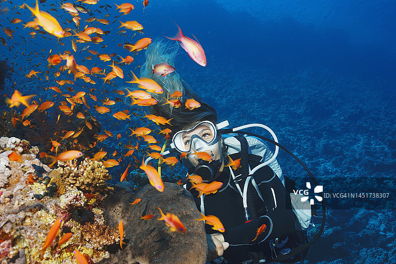水下：水肺潜水员探索和欣赏珊瑚礁海洋生物图片素材