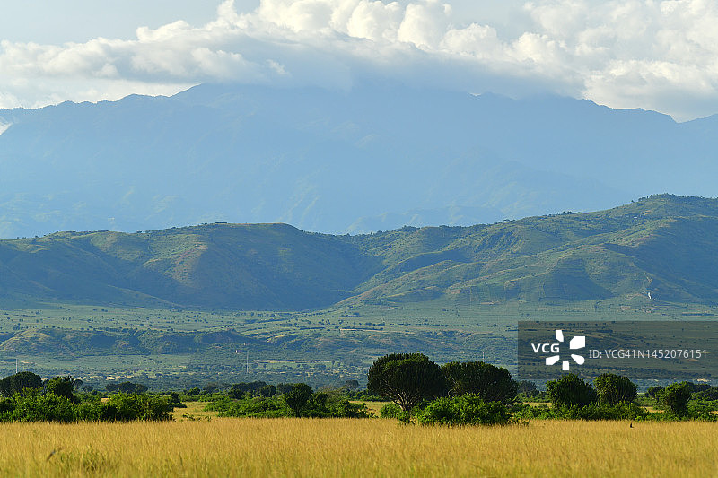 从热带草原看伦佐里山脉图片素材