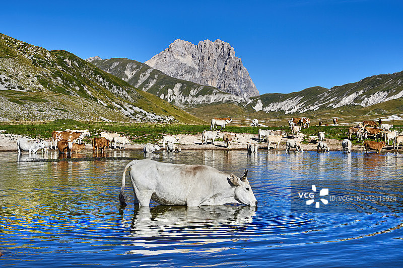 意大利阿布鲁佐国家公园的帝国田野图片素材