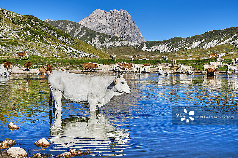 意大利阿布鲁佐国家公园的帝国田野图片素材