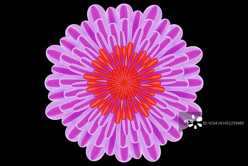 高分辨率花束纹理分形背景图片素材