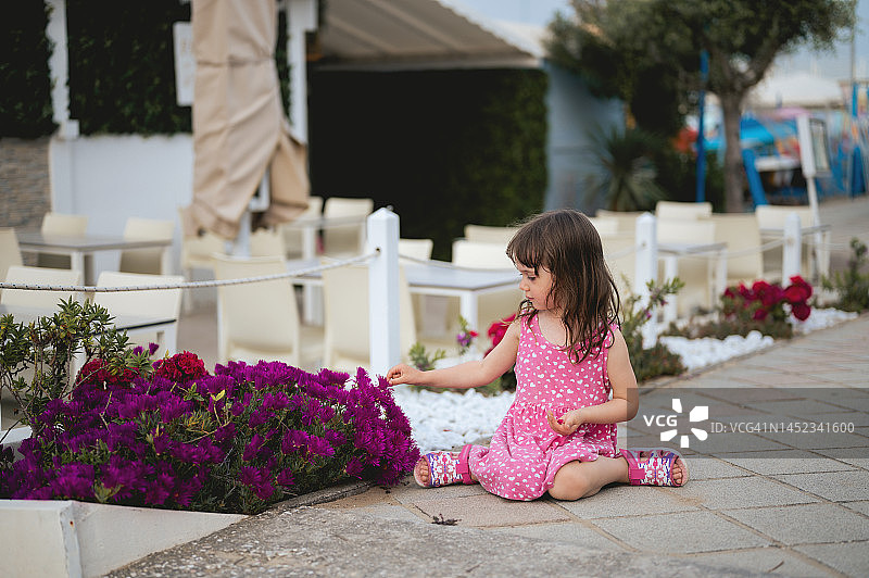 坐在地上看粉色植物的小女孩图片素材