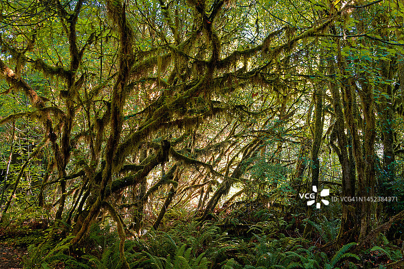 开启户外体验之旅图片素材