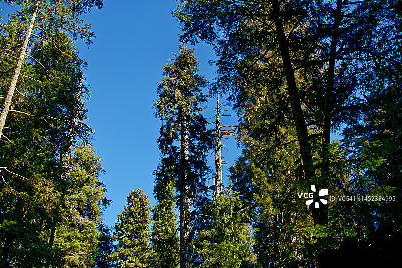 传讲奇妙事物的福音图片素材