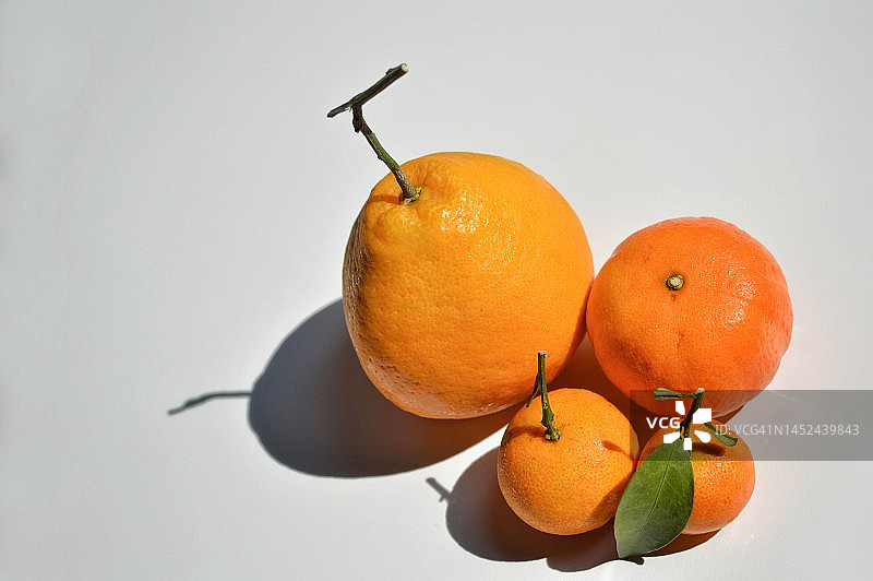 四个橘子图片素材
