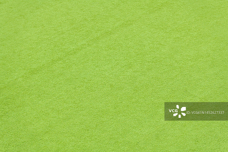 人造浓密绿草纹理图片素材