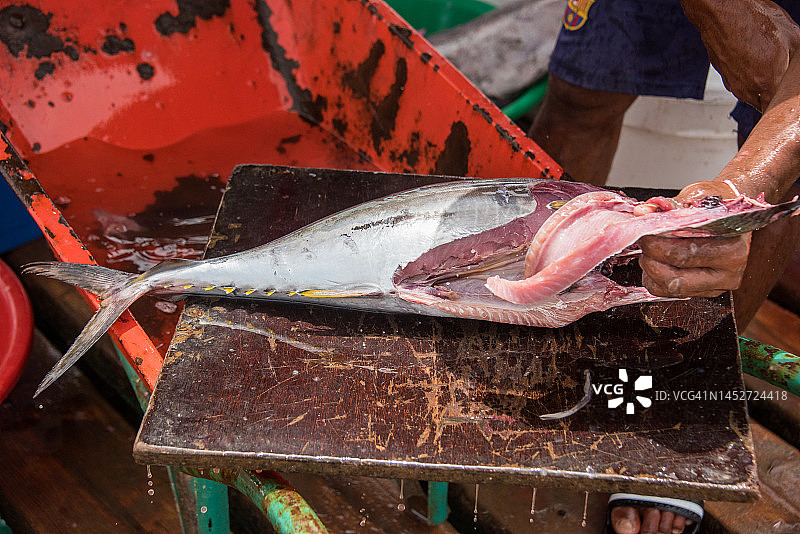 码头上剖腹取肉的新鲜黄鳍金枪鱼图片素材