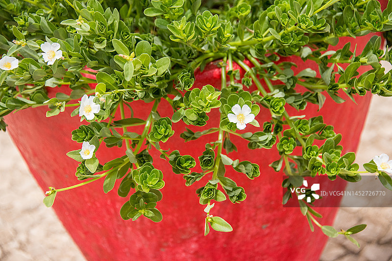 过长沙图片素材