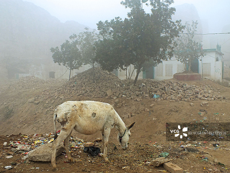 雾蒙蒙的冬日早晨图片素材