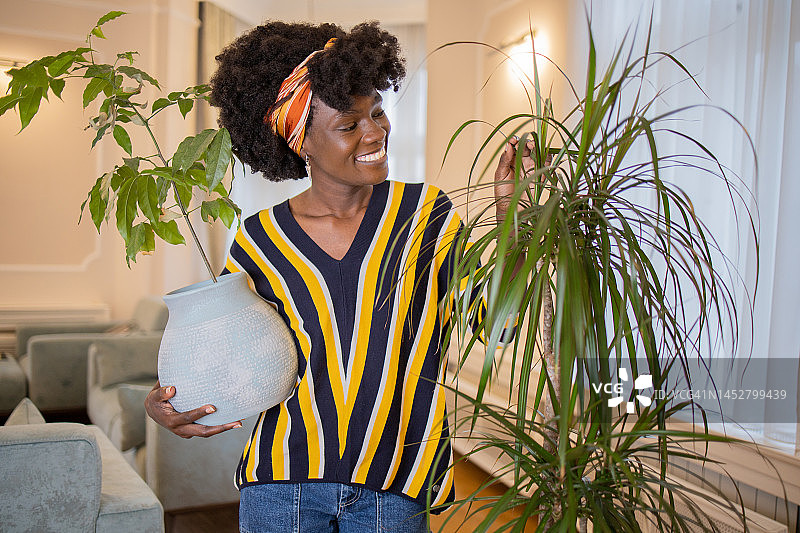 女人在家和植物在一起图片素材