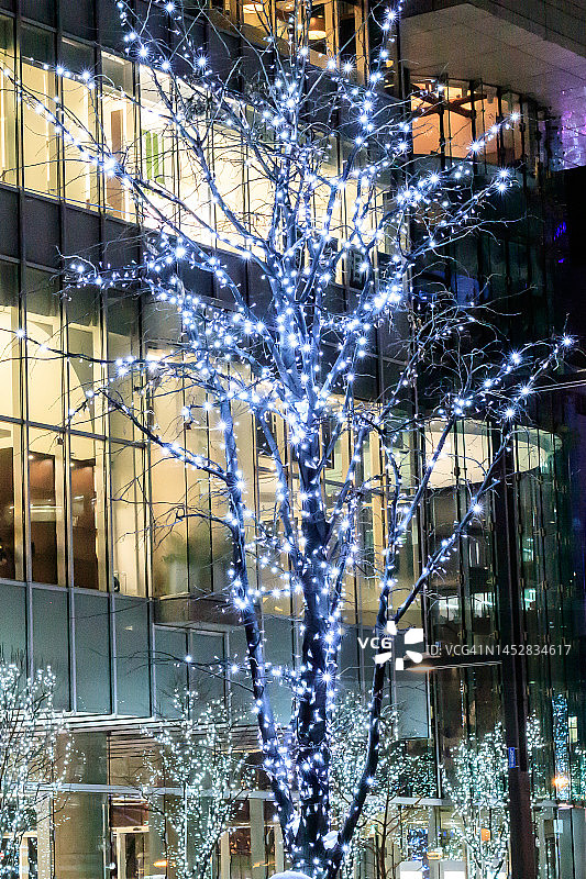 灯火辉煌的札幌市图片素材