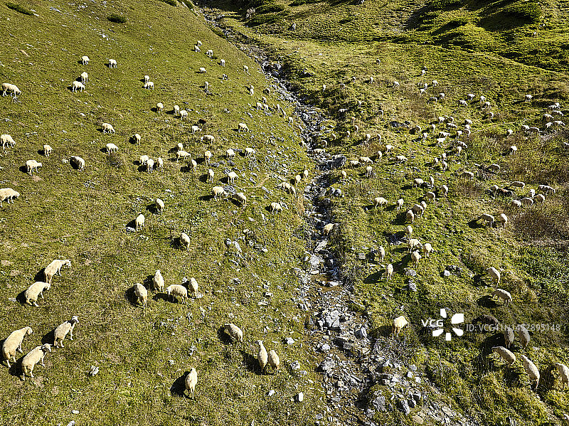 北马其顿沙尔山脉国家公园图片素材