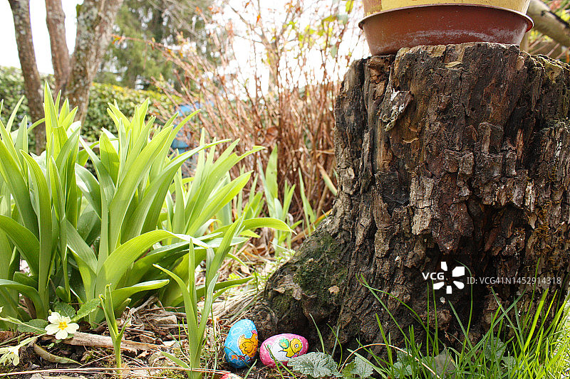 两颗放置在树干底部的复活节彩蛋图片素材