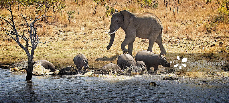 邻里恶霸图片素材