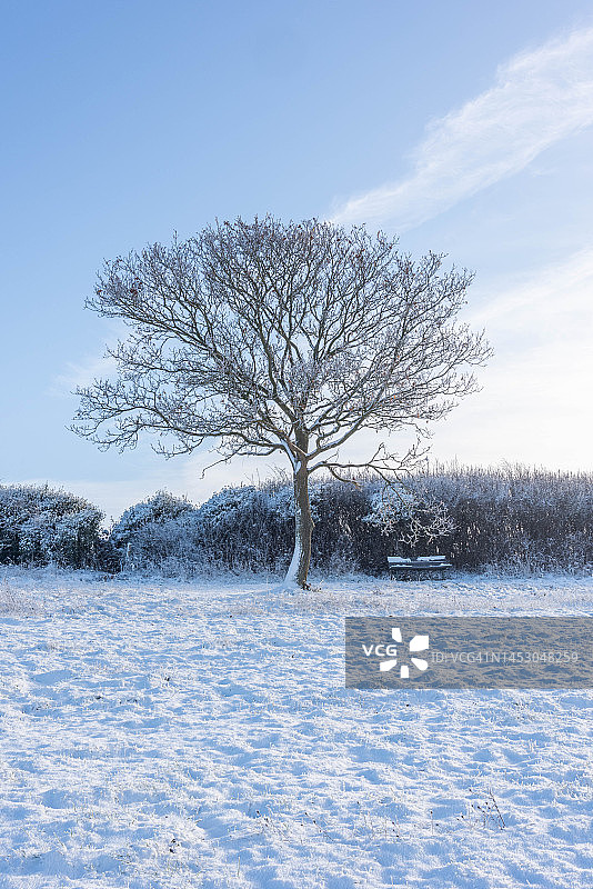 冬季的邓斯特布尔丘陵图片素材