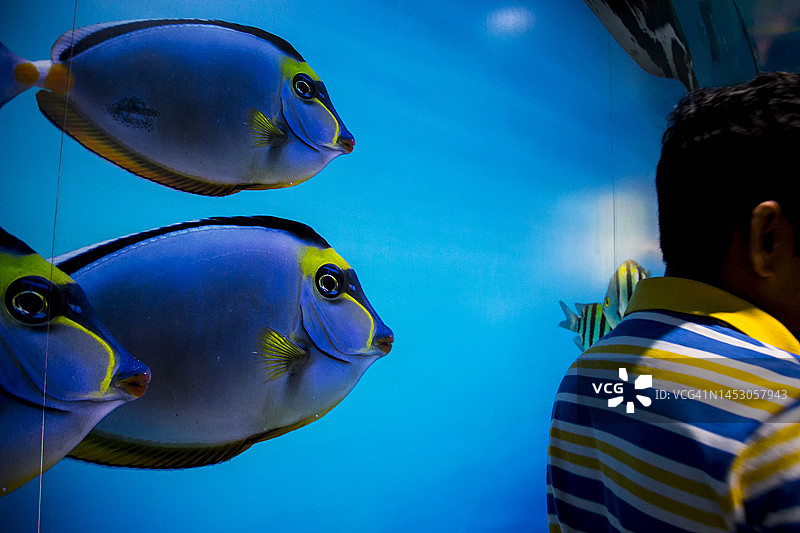 曼谷海洋世界图片素材