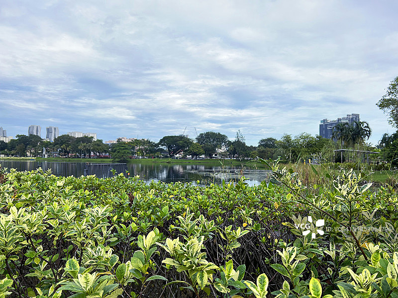 吉隆坡蒂蒂旺沙公园美丽的湖景图片素材