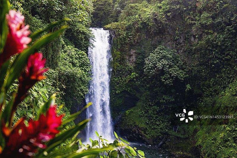 哥斯达黎加热带雨林中的壮丽瀑布图片素材