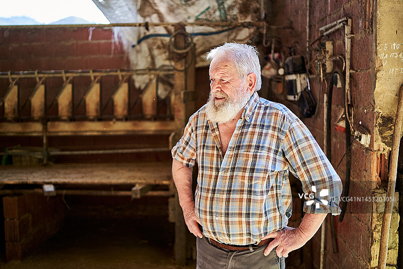 自豪地站在自家牧场的老农图片素材