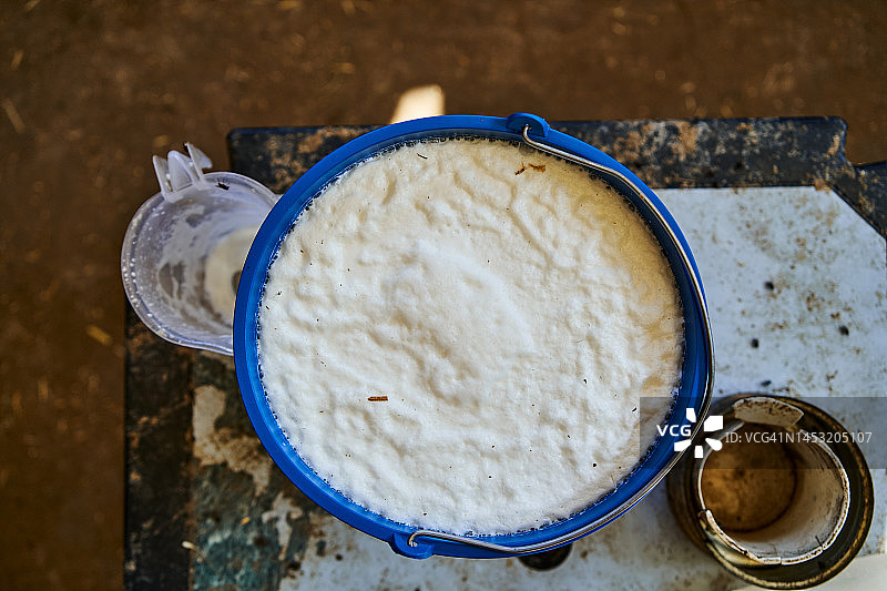 谷仓桌子上装有羊奶的桶图片素材