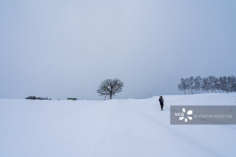 冬季北海道美瑛町的雪景图片素材