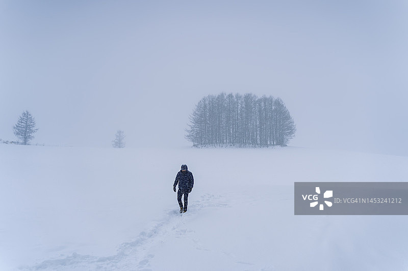 冬季北海道美瑛町的雪原与孤身雪地人图片素材