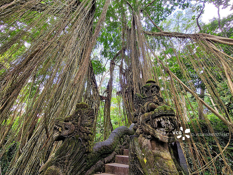 印度尼西亚巴厘岛乌布猴子森林公园的龙桥图片素材