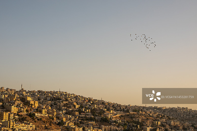 约旦安曼上空的鸟图片素材