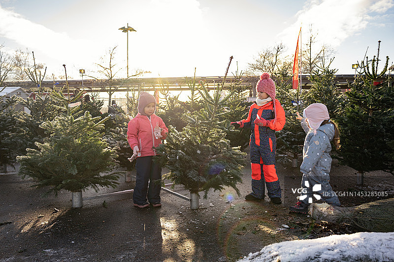 在市场上挑选圣诞树的白人姐妹图片素材