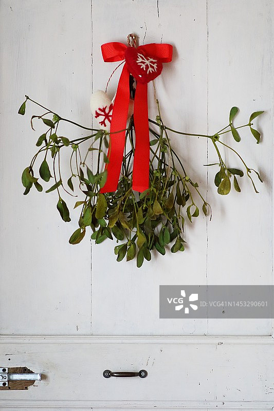 系着红色丝带的槲寄生图片素材