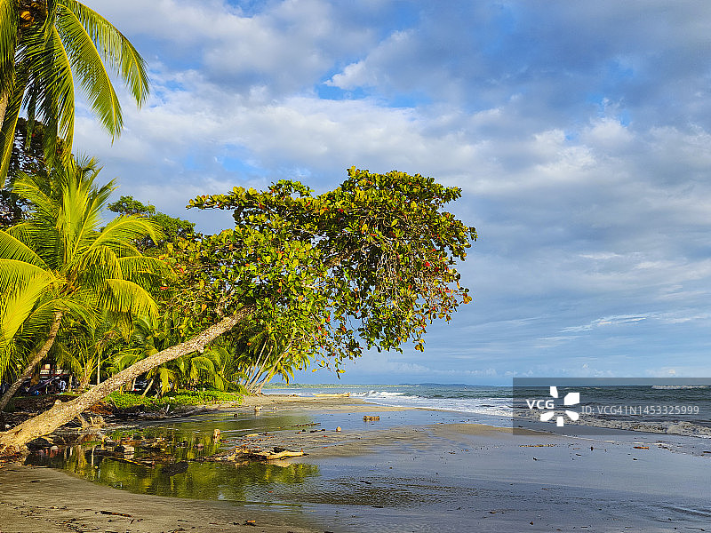 加勒比温暖海滩图片素材