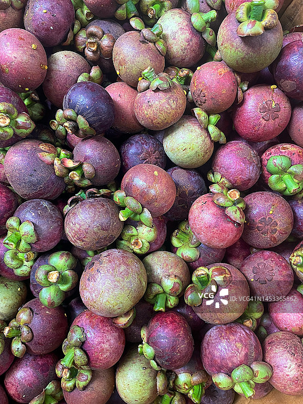 山竹完整图像图片素材